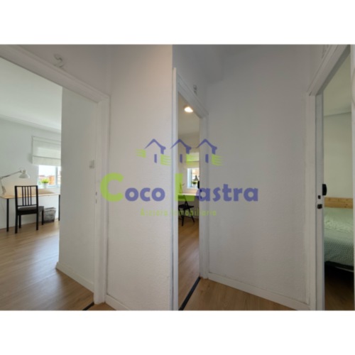 Distribuidor